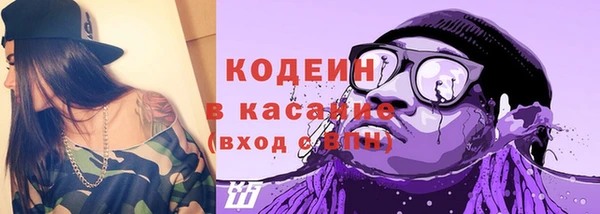 амф Каменка