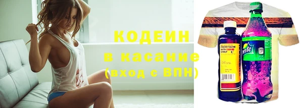 амф Каменка