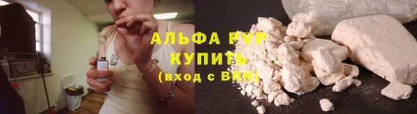 амф Каменка