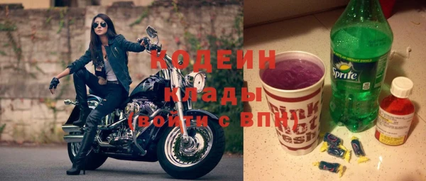 амф Каменка