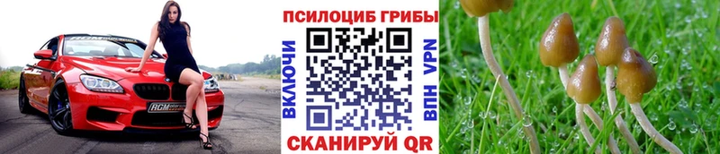 Галлюциногенные грибы мухоморы  OMG маркетплейс  Емва 