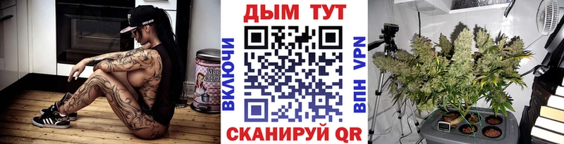 Канабис сатива  ссылка на мегу ONION  Емва  продажа наркотиков 